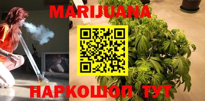 стаф Бузулук