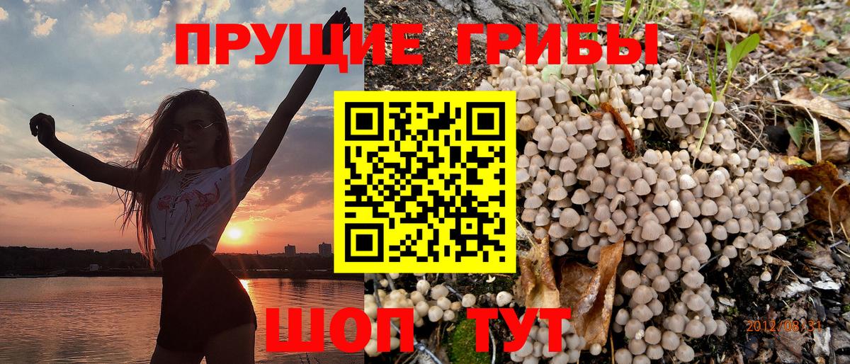 Галлюциногенные грибы ЛСД Тимашёвск