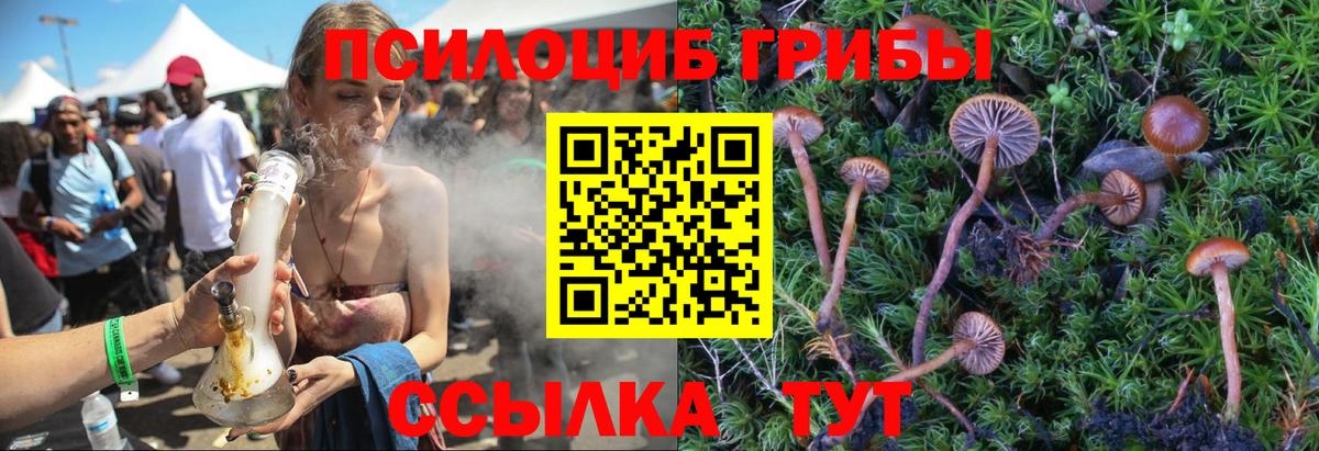 Псилоцибиновые грибы Cubensis  Вход с VPN  где купить наркотик  Тимашёвск 